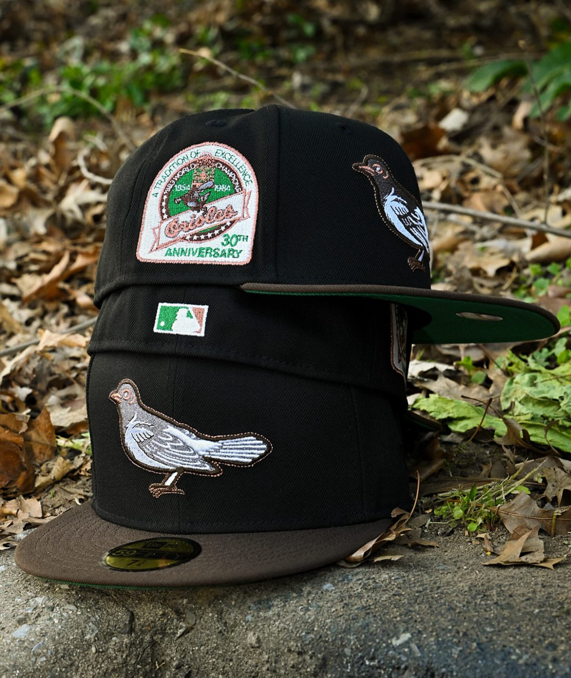 Home Game x Highlark Bird 2.0